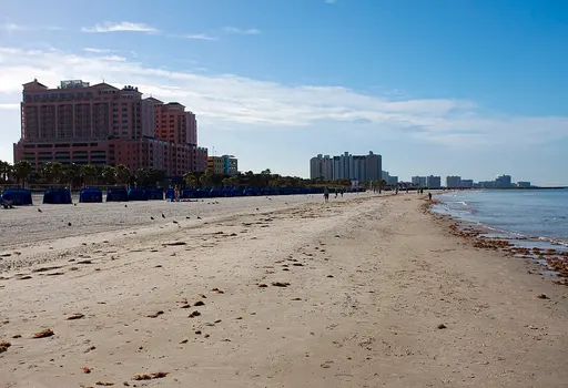 Clearwater, FL