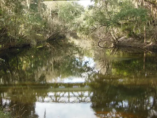 Fish Hawk, FL