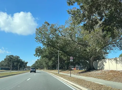 Meadow Woods, FL