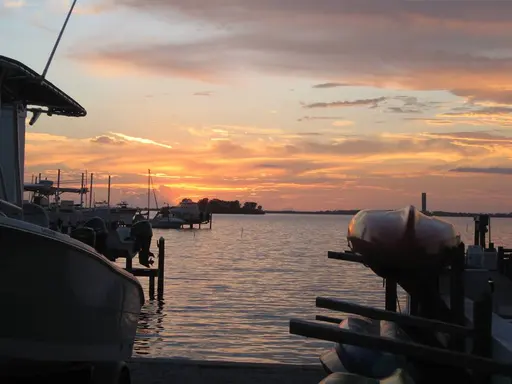 Palm Harbor, FL