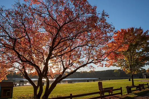 Rochester Hills, MI